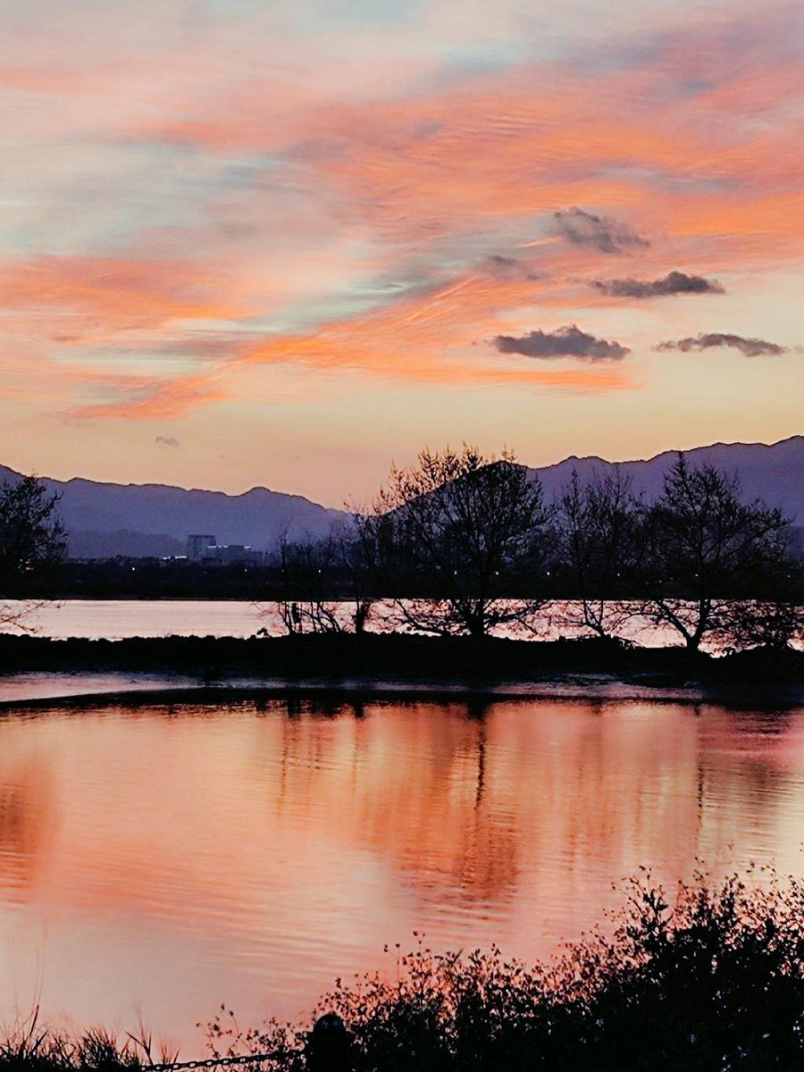 Иван tweet media