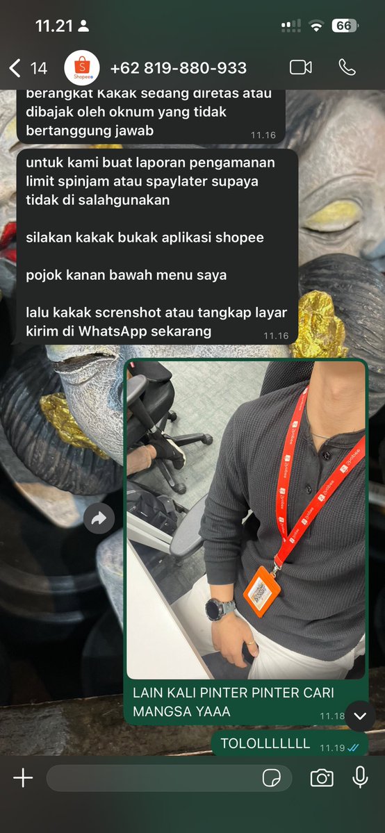 RudeusGreyraT tweet media