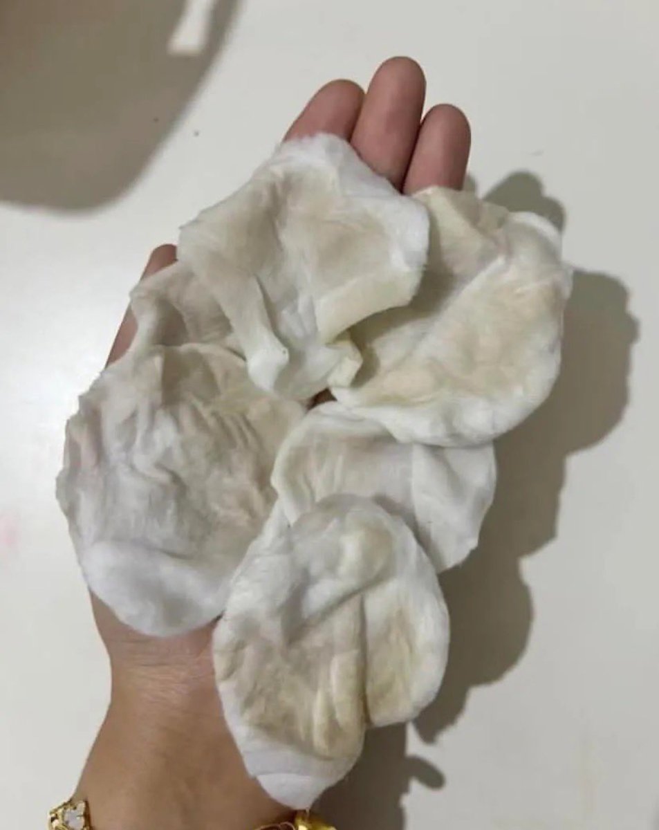 سام | sam tweet media