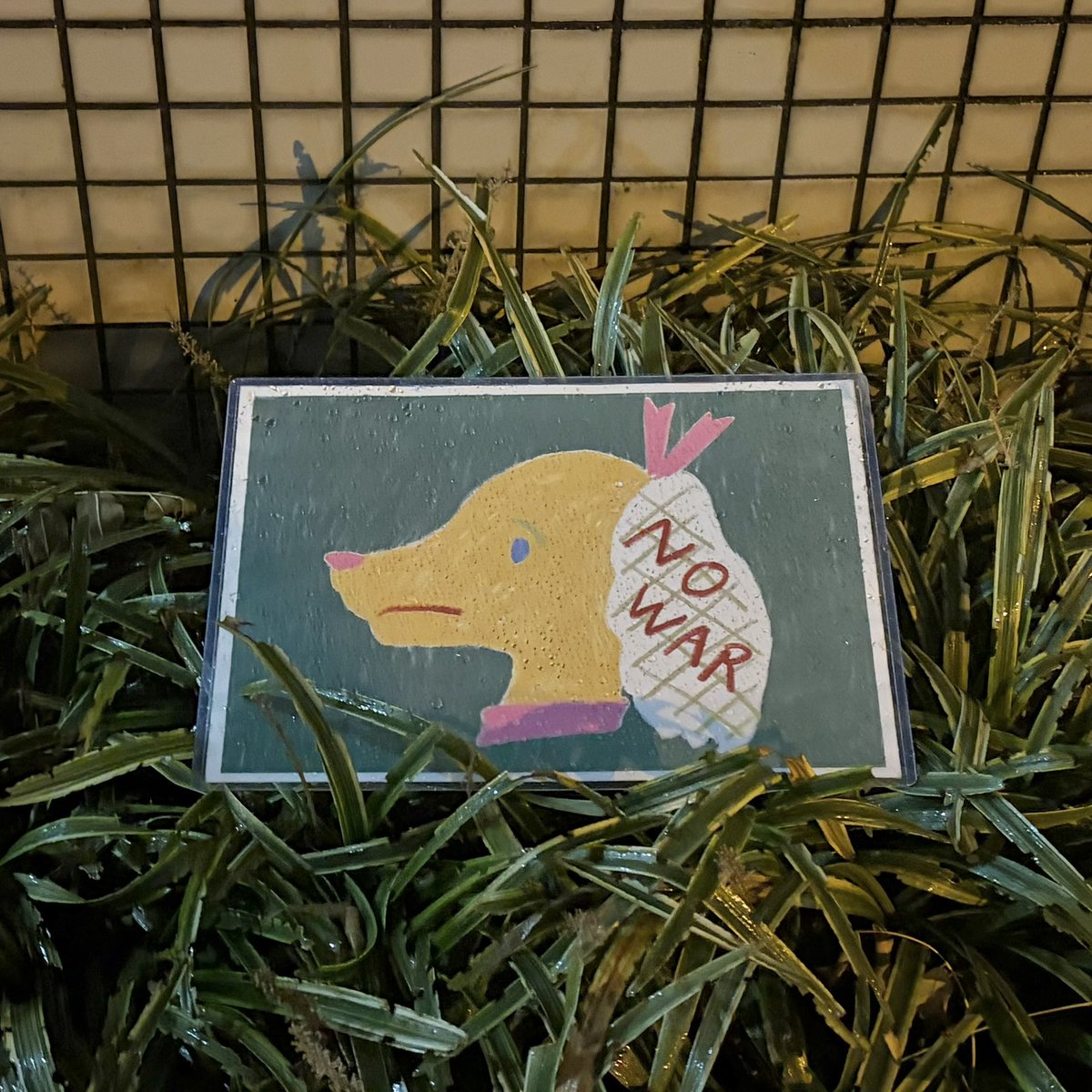 わかった tweet media