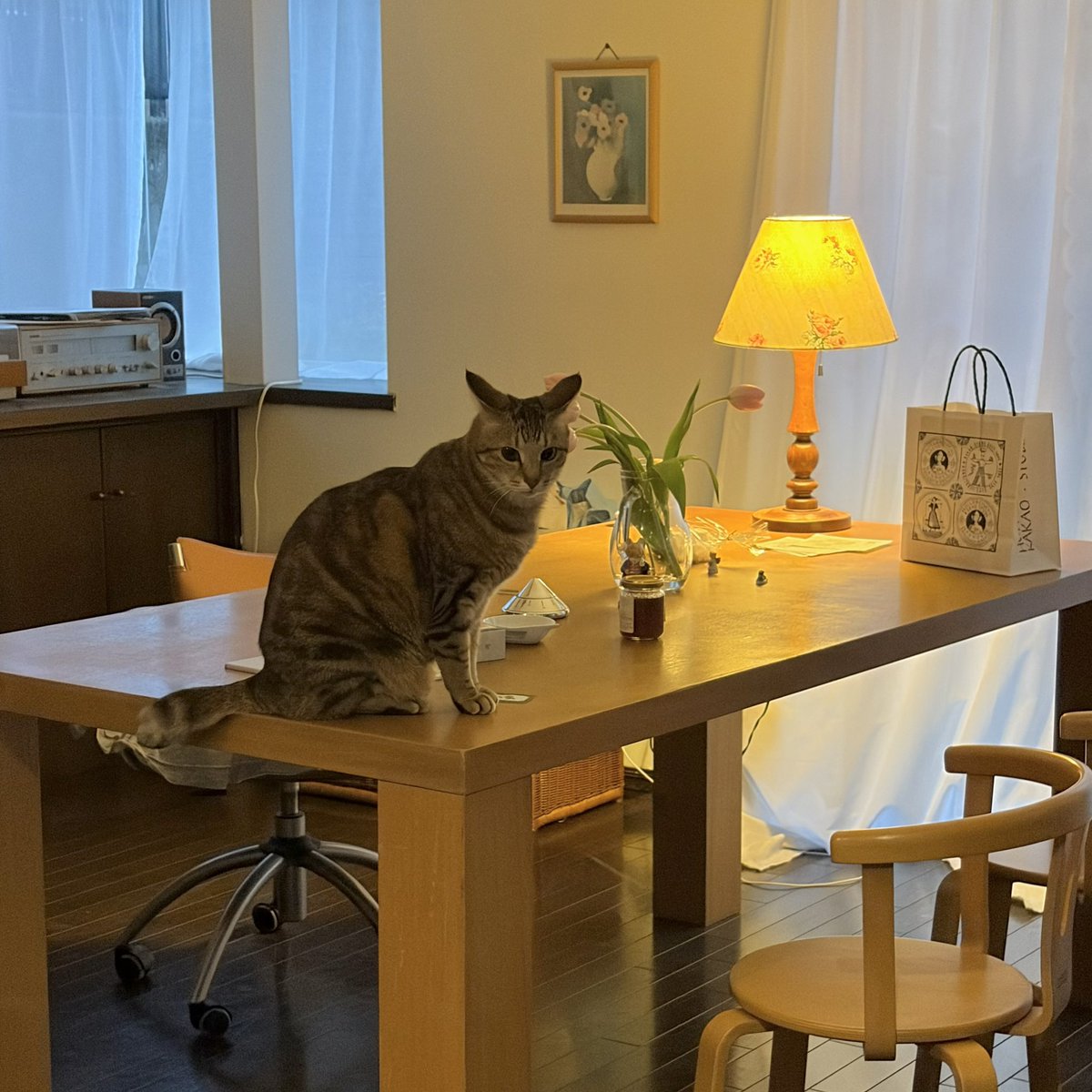 わかった tweet media