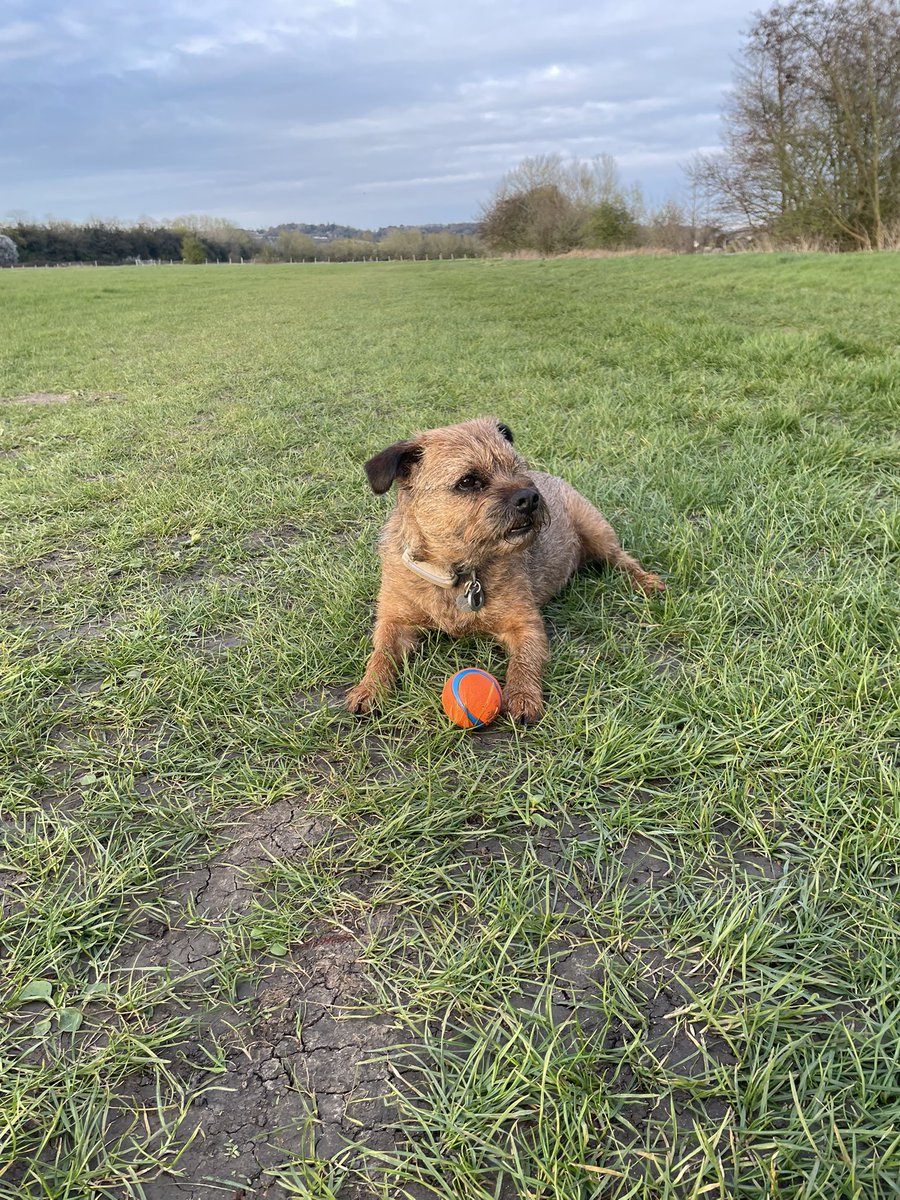 @BruffBT 🇺🇦 tweet media