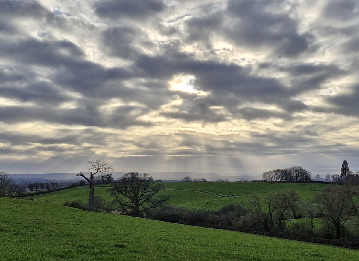 Rob Darke tweet media