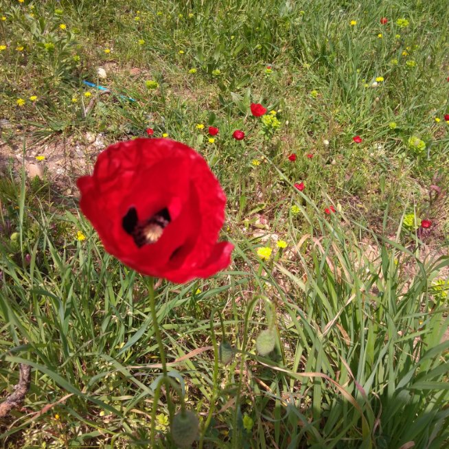 vejdi  bilgin tweet media