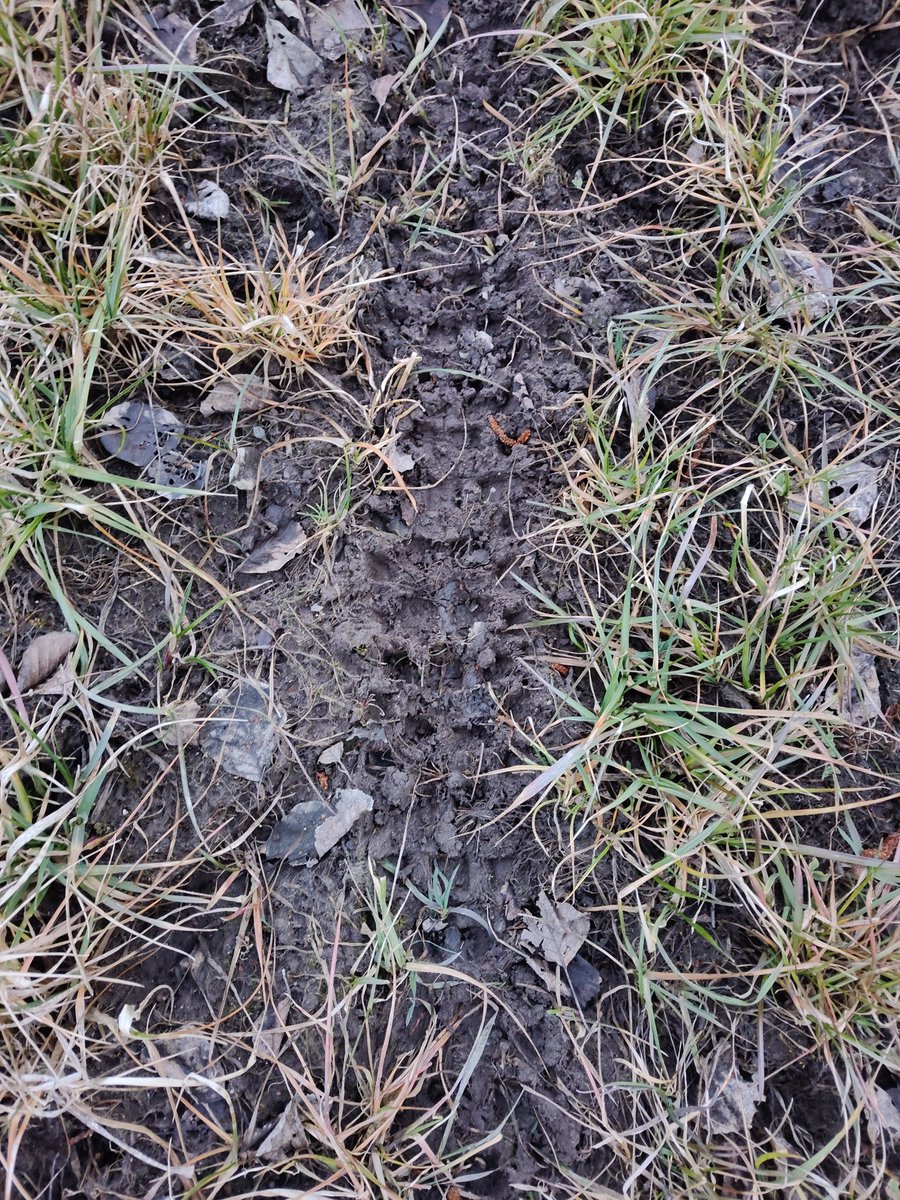 PolandFarmer tweet media