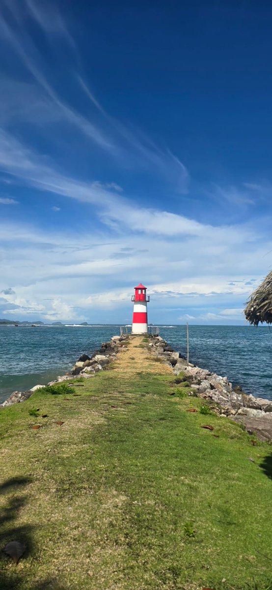 Raymond Harvey ⚜️🗣 tweet media