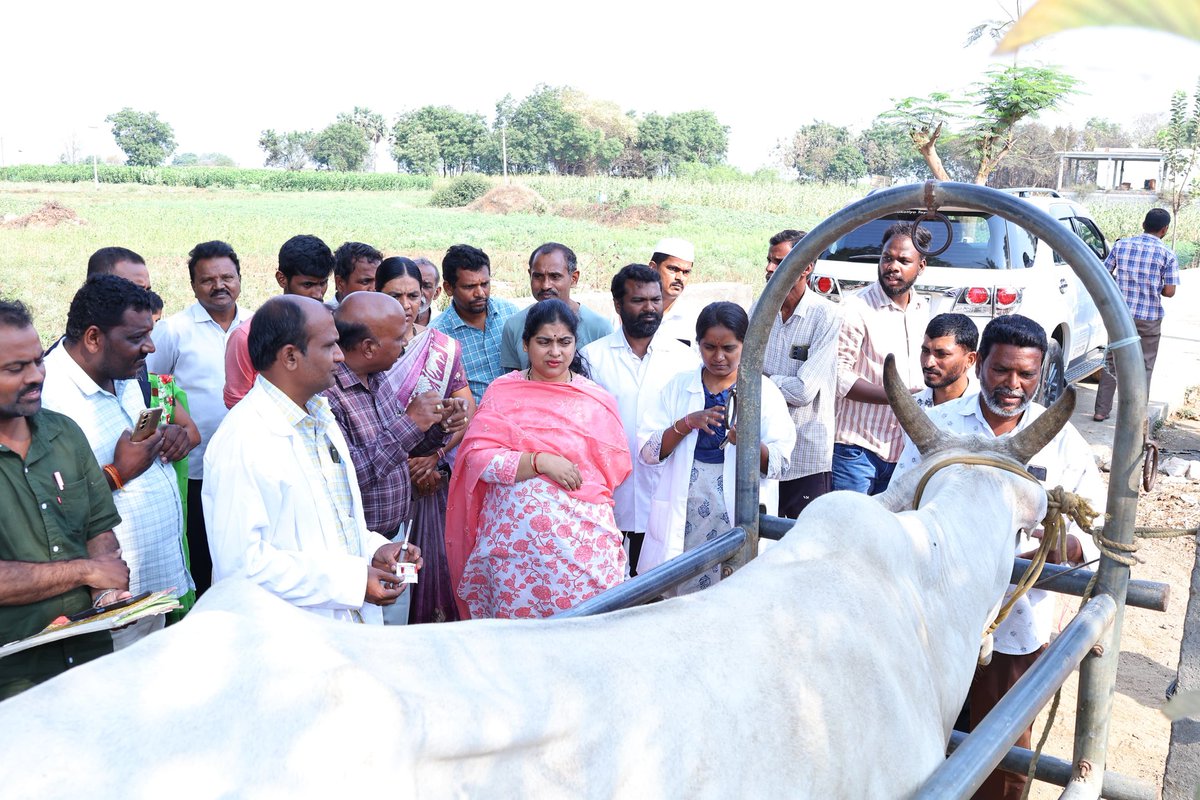 Collector Warangal Official tweet media