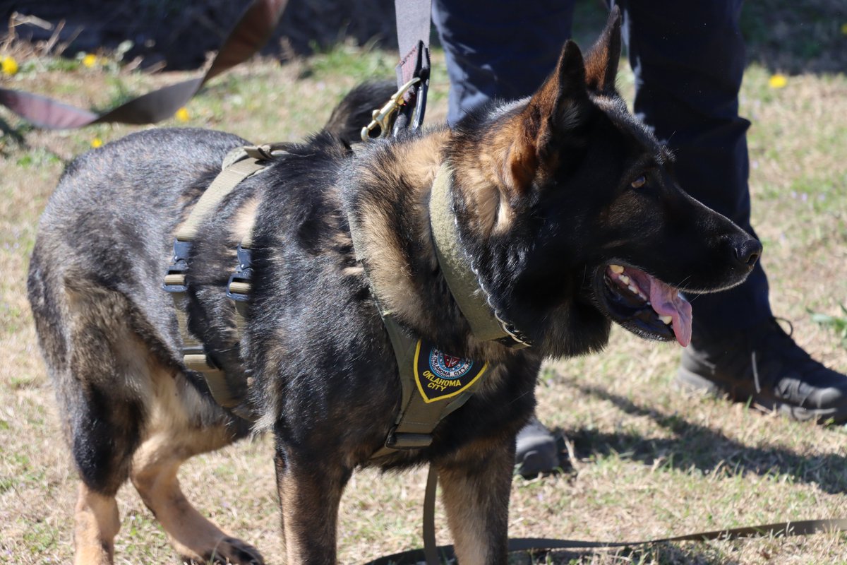 Oklahoma City Police tweet media