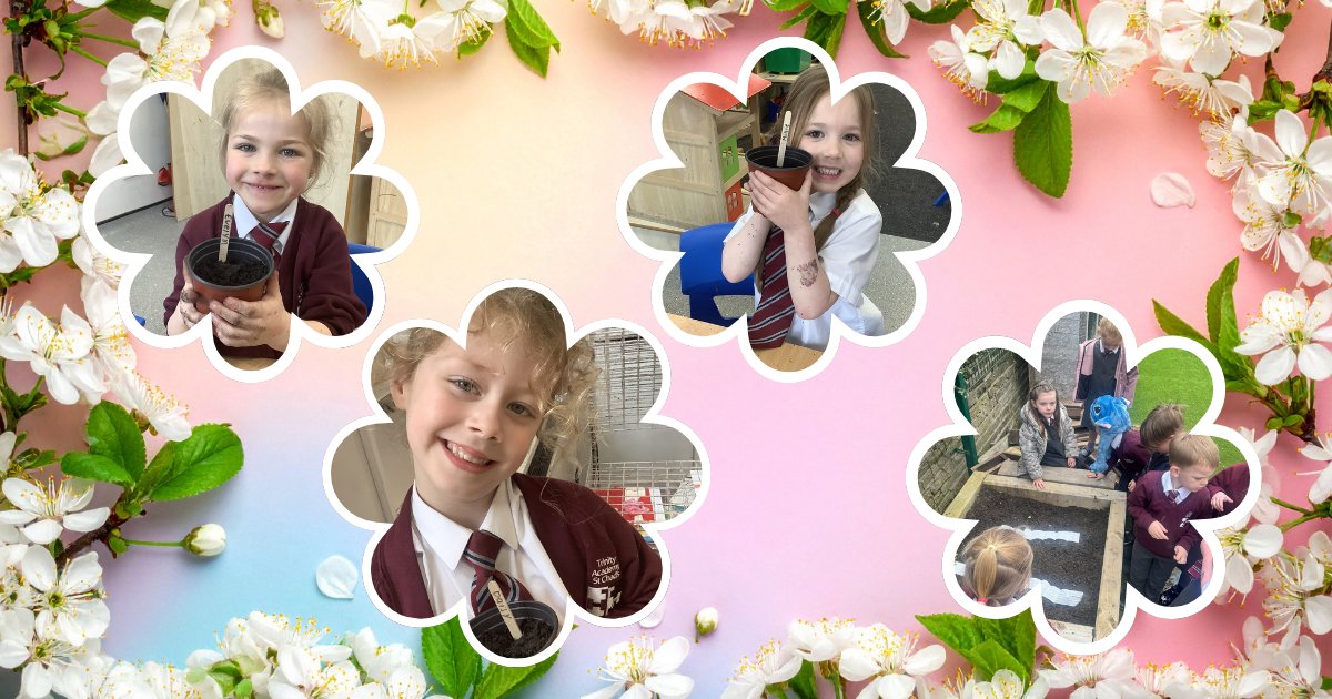 Trinity Academy St Chad's tweet media