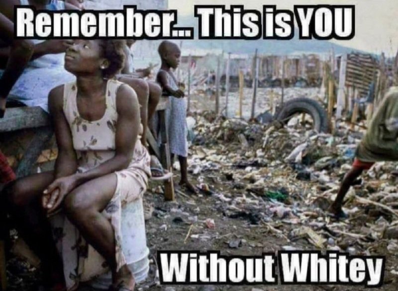 stop the world, I want off tweet media