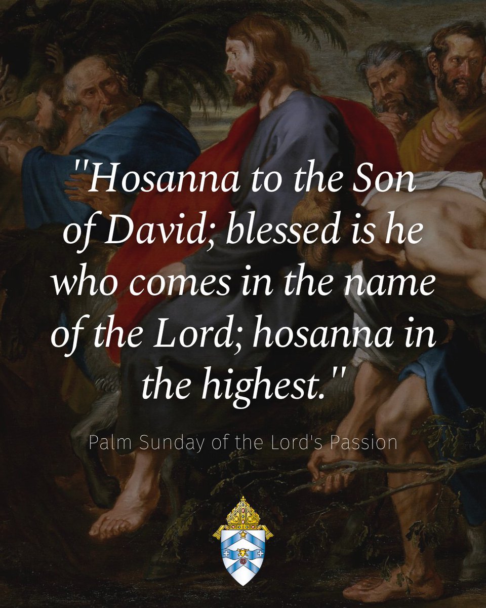 Diocese of Austin tweet media