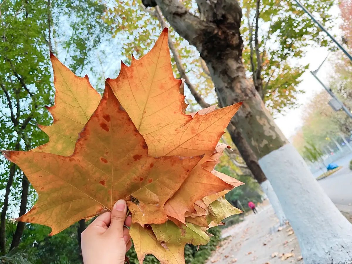 Rodger Potocki tweet media