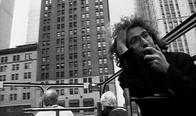 L’hirond’aile tweet media