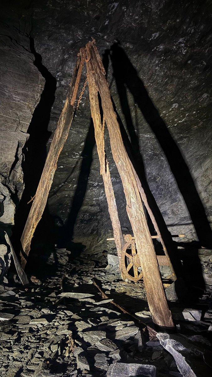 Lisa Forte tweet media