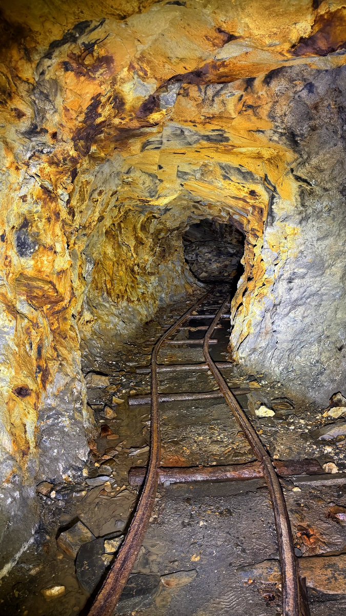 Lisa Forte tweet media