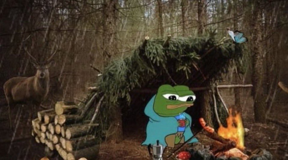 乃卂匚Ҝ山ㄖㄖᗪ$$$ 🍂 tweet media