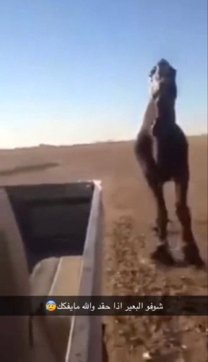 زيــاد tweet media