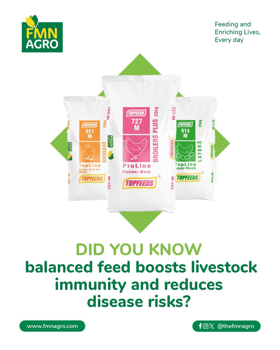 TheFMNAgro's tweet image. Livestock health is directly tied to nutrition. Animals fed with balanced diets grow stronger, resist illness, and achieve optimal productivity. 

FMN Agro feeds are formulated to support immunity, growth, and overall farm profitability.

#DidYouKnow #LivestockHealth #FMNAgro