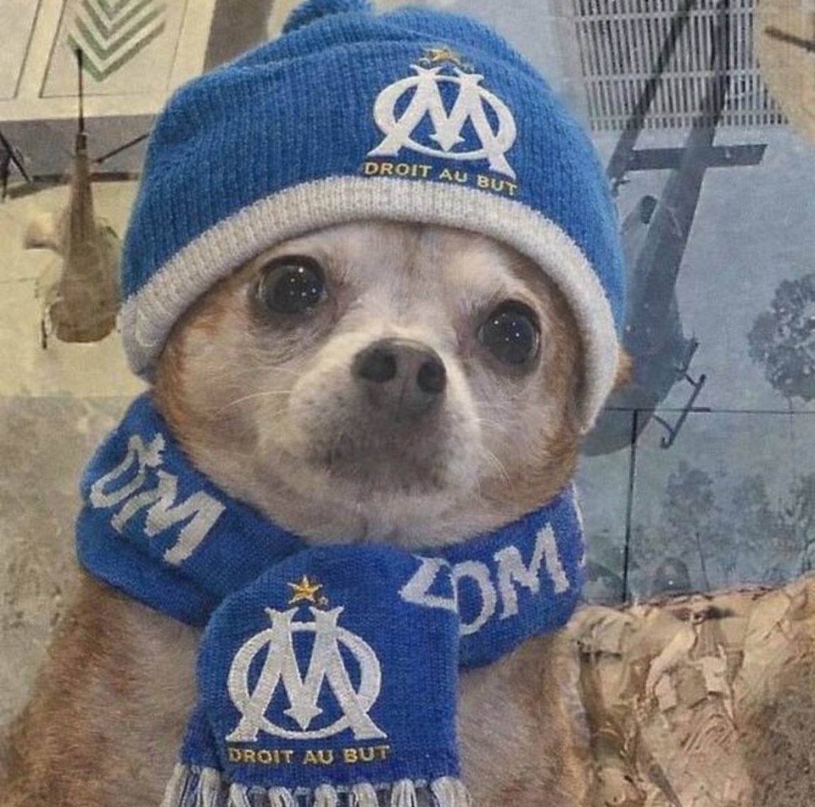 🤴🏾 BGProno  tweet media