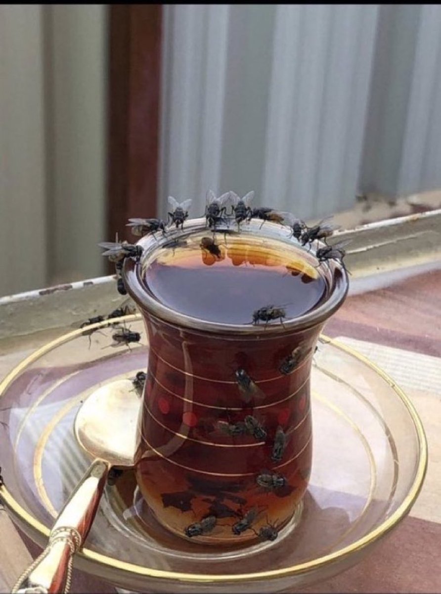 مرجوج tweet media