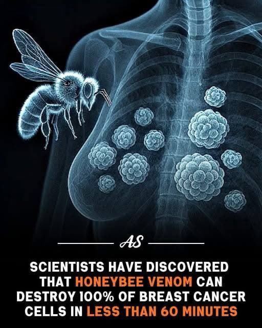 Mr PitBull tweet media