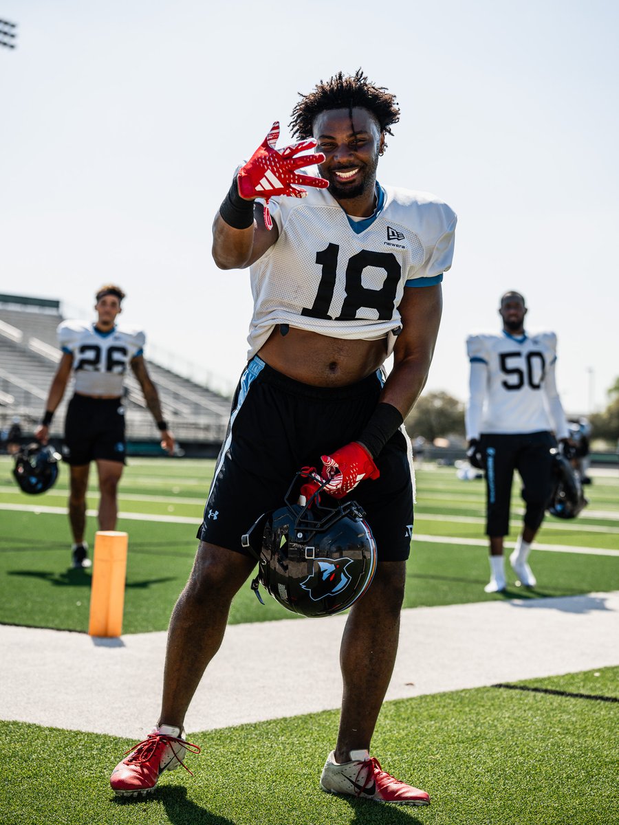 Dallas Renegades tweet media