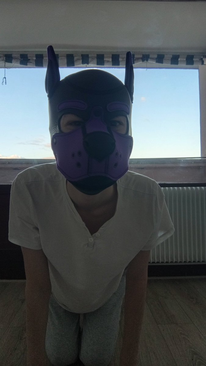 Pup_Cyrus tweet media
