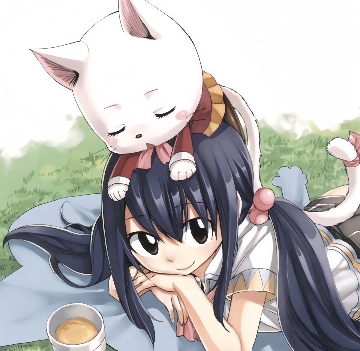 fairy tail girls tweet media