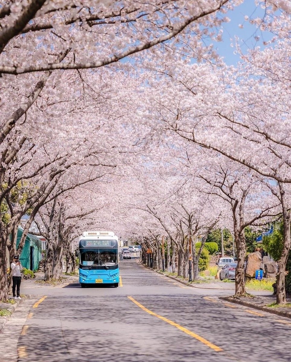 terrascobe's tweet photo. South Korea https://t.co/xDuR0KK3Fp