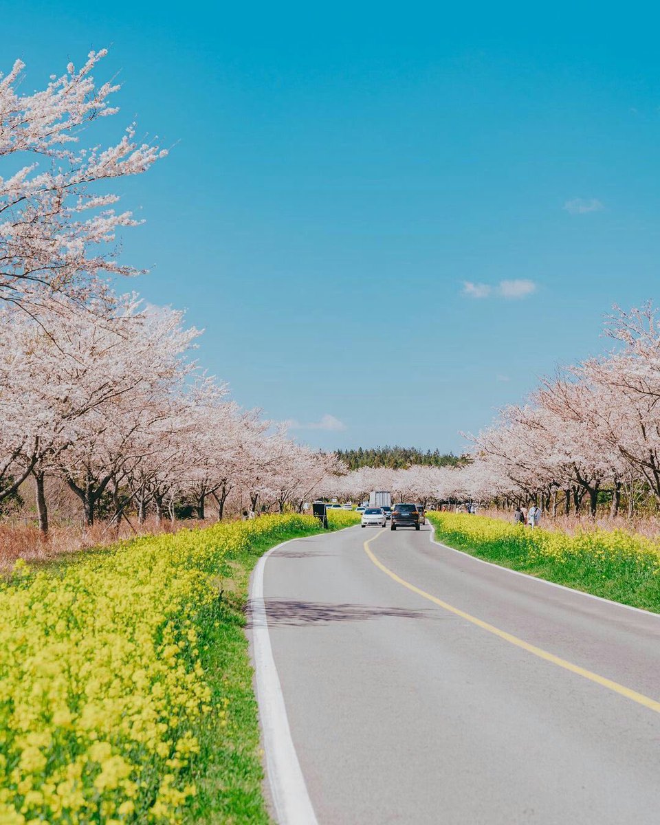 terrascobe's tweet photo. South Korea https://t.co/xDuR0KK3Fp