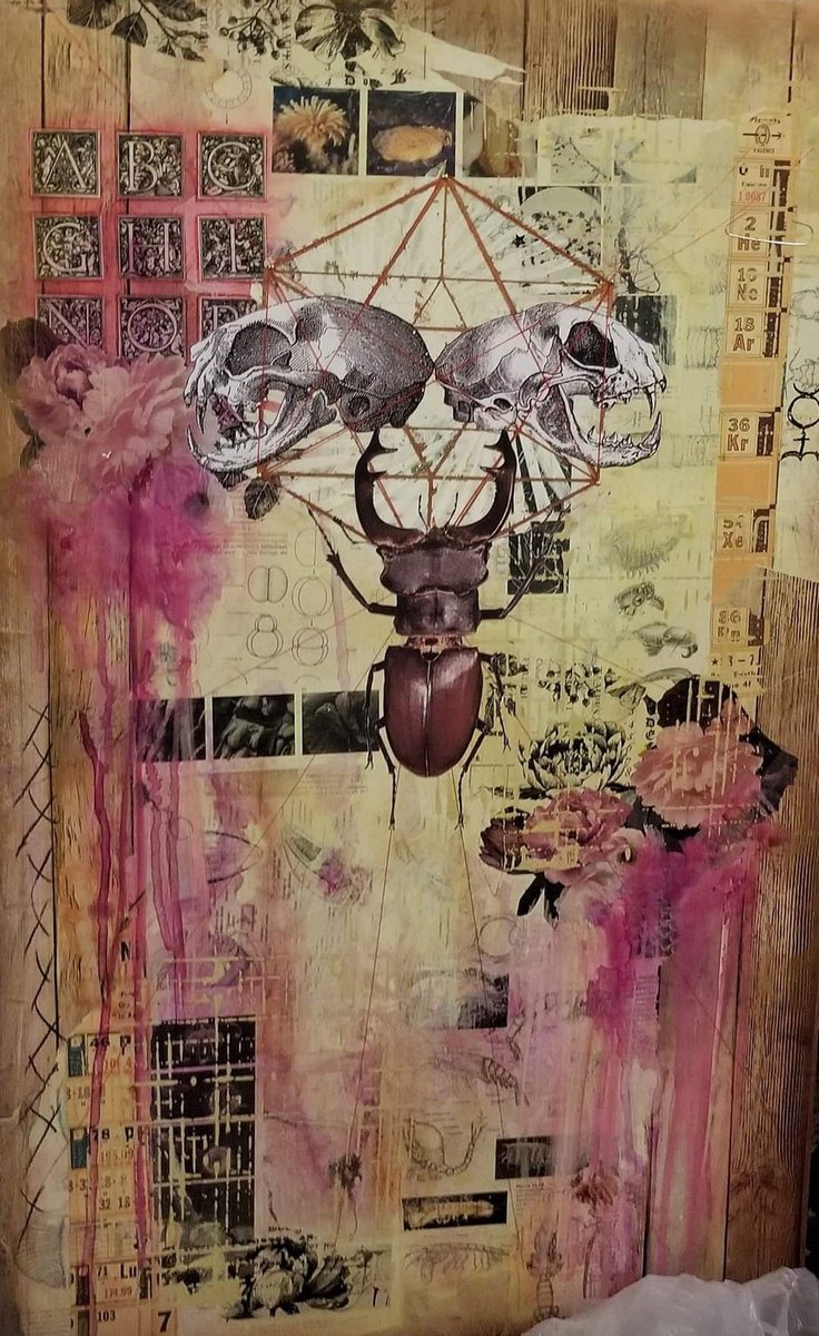 ꜱᴘᴀᴄᴇ ᴘᴜɴᴋ tweet media