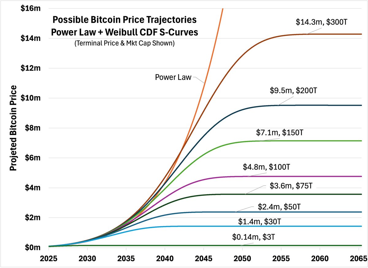 David Nelson tweet media