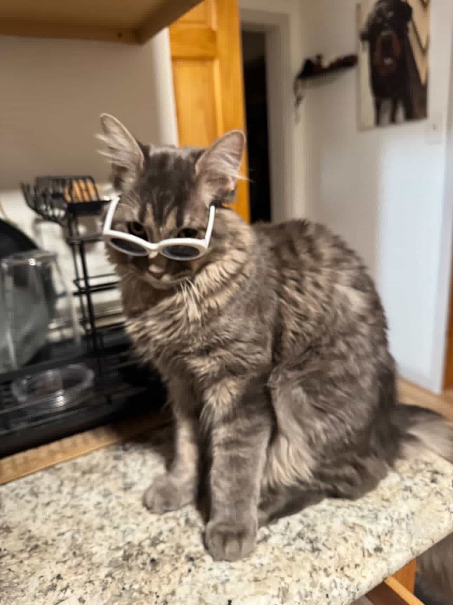 Smephsy-Val/Mr tweet media