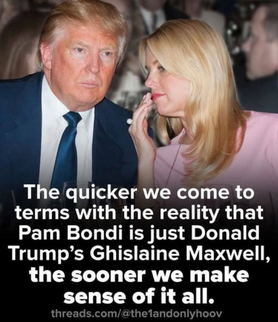 Peter Lang tweet media