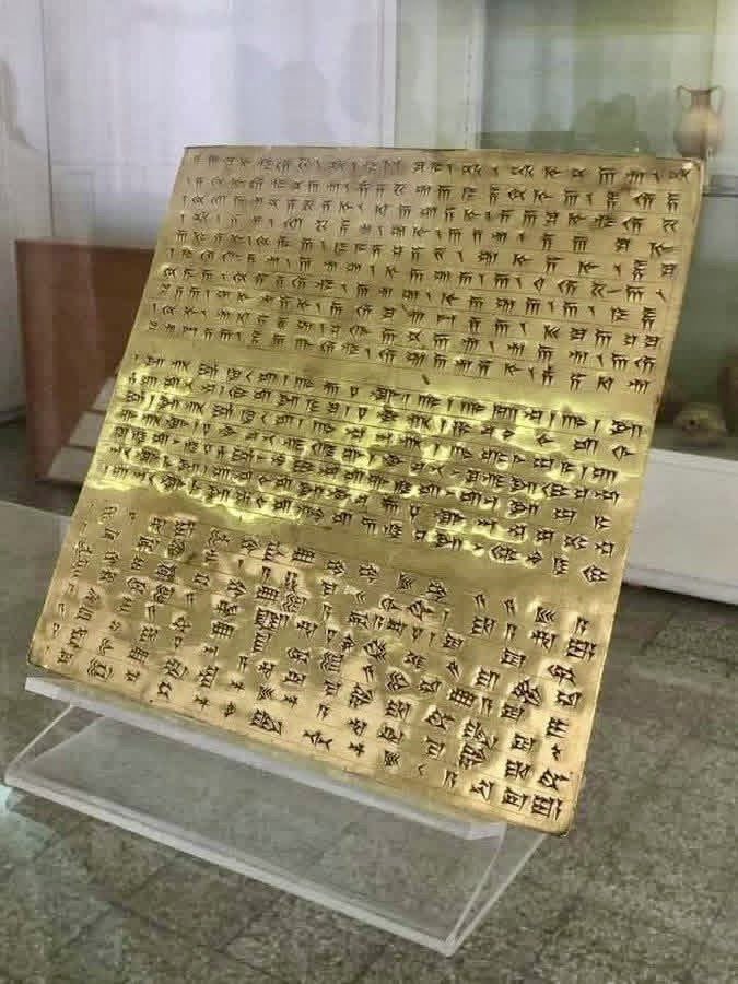 Eric Yeung 👍🚀🌕 tweet media