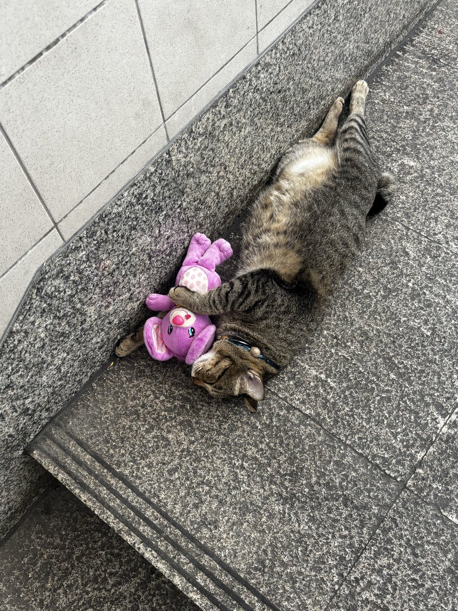 Nineenina tweet media