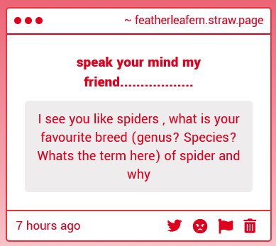 fern || ☕️ on strawpage! tweet media