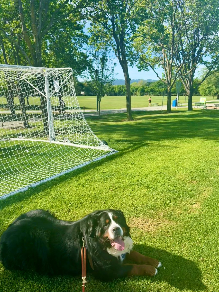 RevaliTheBerner tweet media