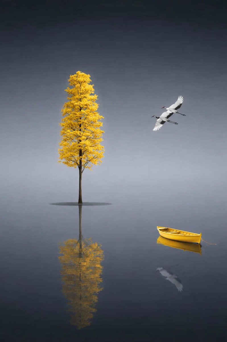 aseelswaid9's tweet image. #Photography
#Art
#VisualArt
#ContemporaryArt
#blackandwhitephotography

📸 Aseel Swaid