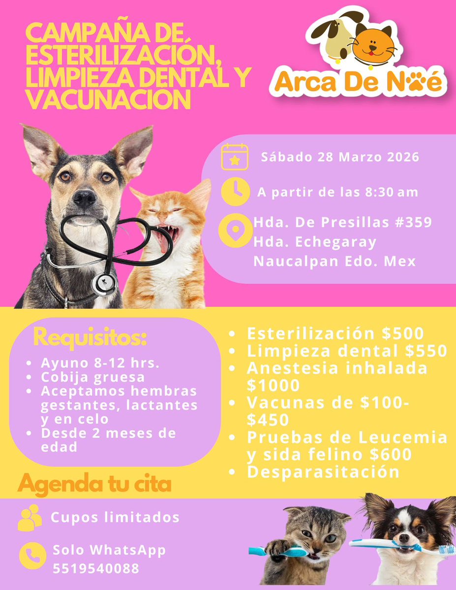 Entre perros y gatos tweet media