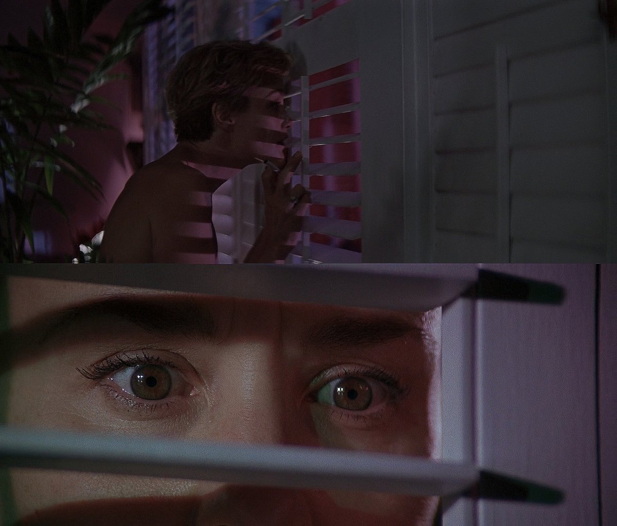 ๐๐๐๐๐๐๐๐ tweet media