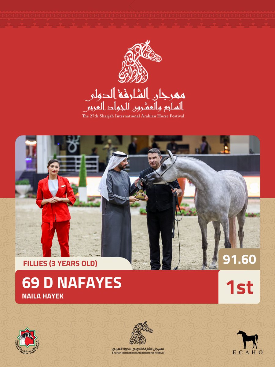 جمعية الإمارات للخيول العربية tweet media