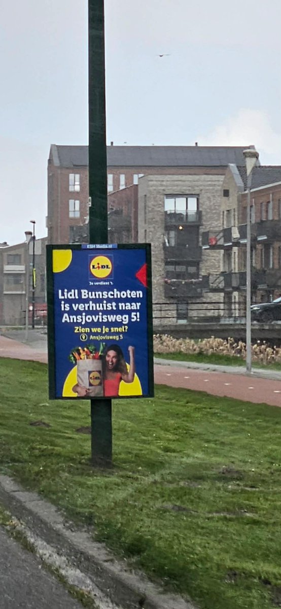 BuSpa 🇮🇱🇳🇱🇺🇸 tweet media