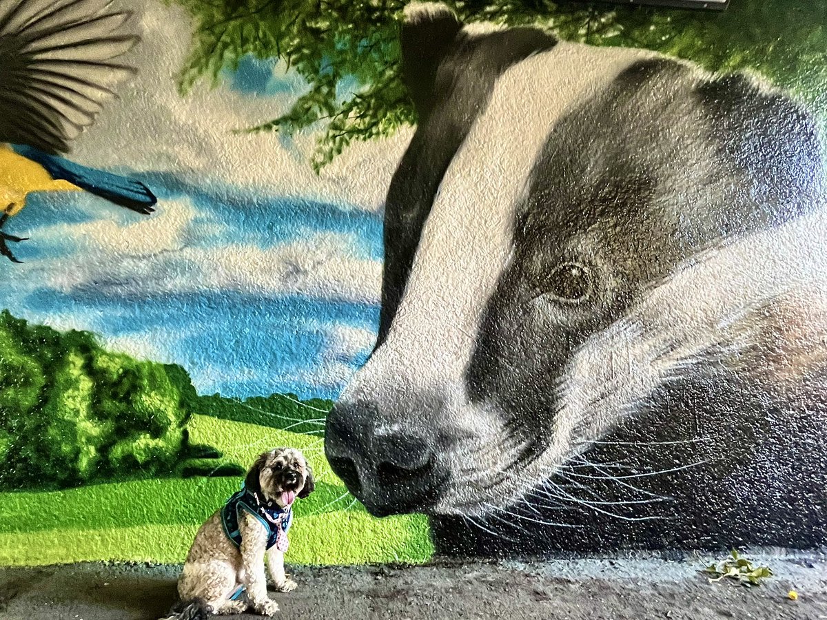 Malcolm & Baby Dog tweet media