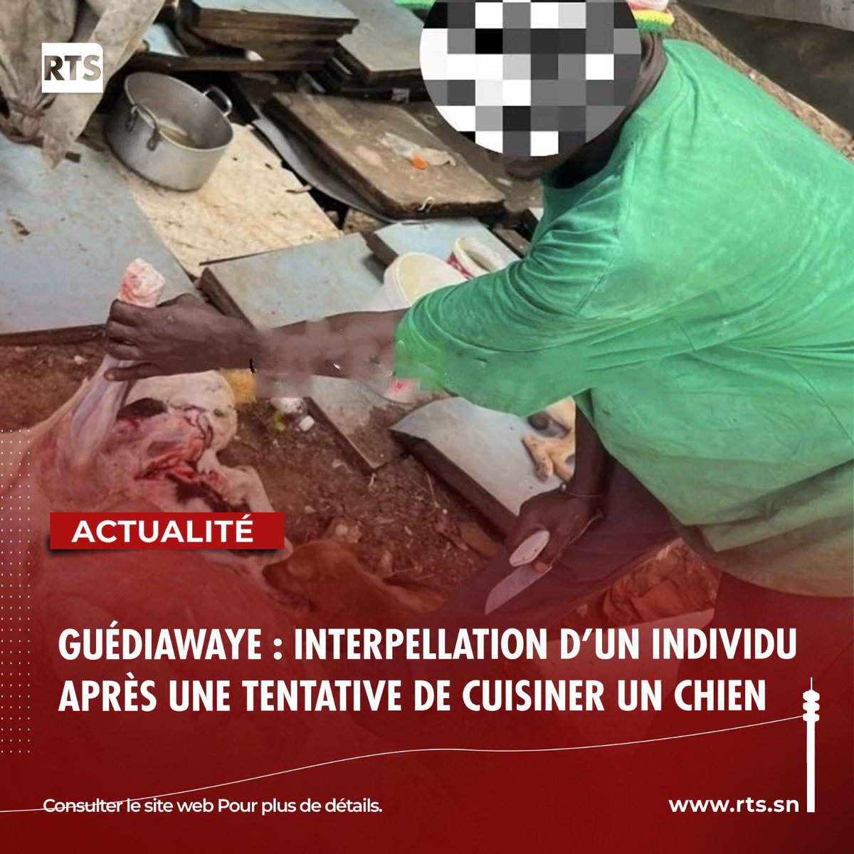 RTS SENEGAL tweet media