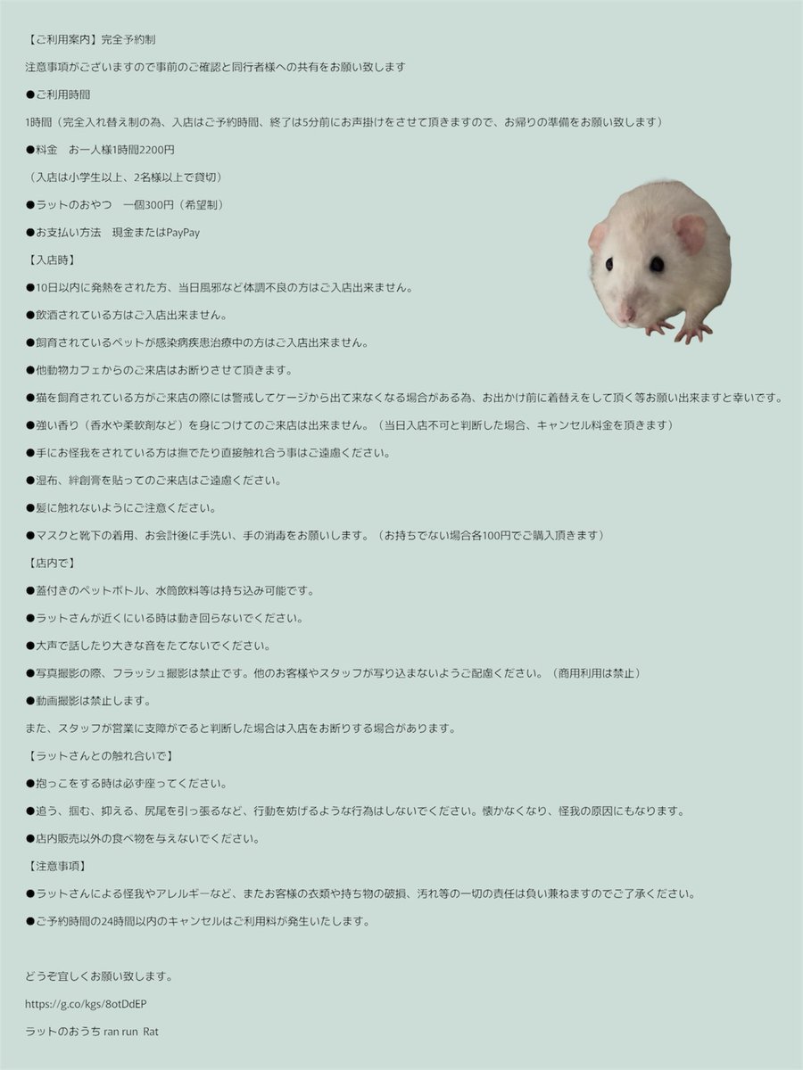 ラットのおうちran run Rat 横浜中華街 tweet media