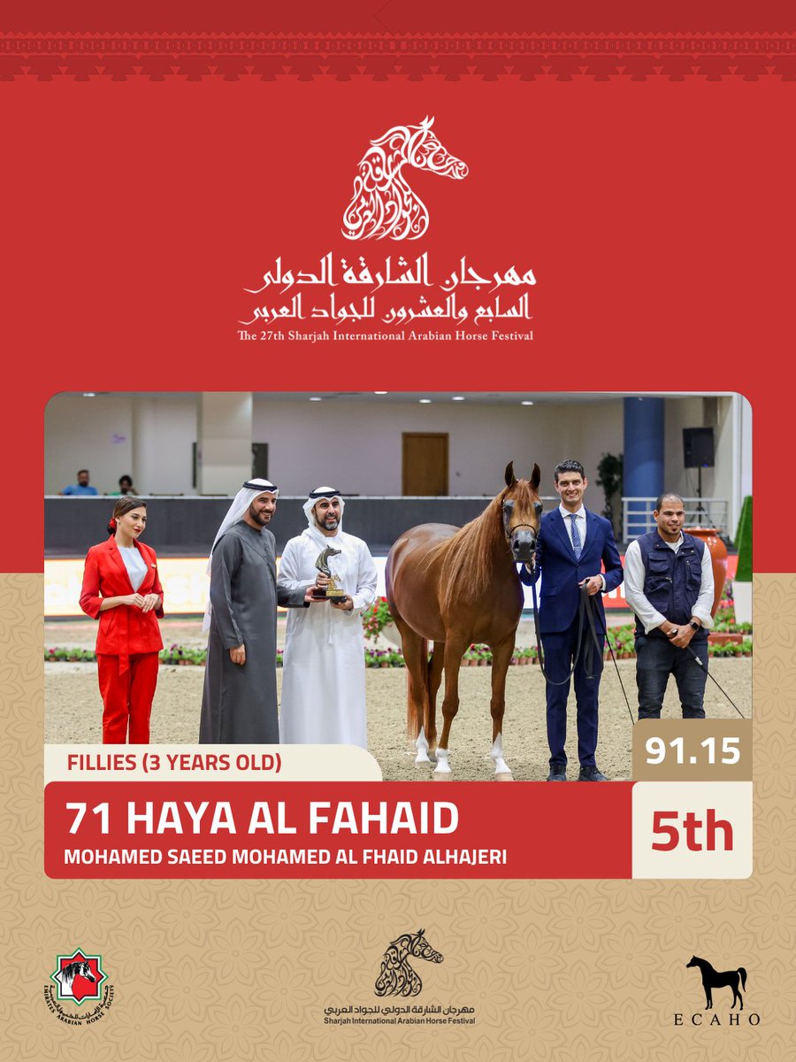 جمعية الإمارات للخيول العربية tweet media