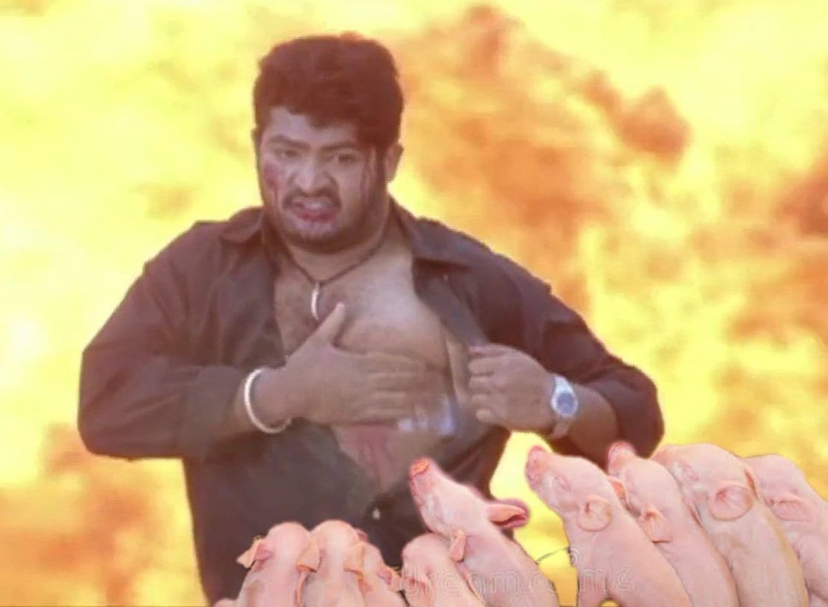 SANDEEP POKIRI tweet media