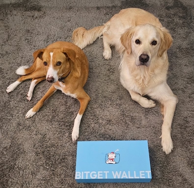 BNB Astronaut 🔶️ tweet media