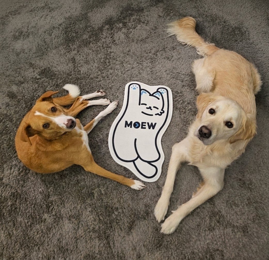 BNB Astronaut 🔶️ tweet media